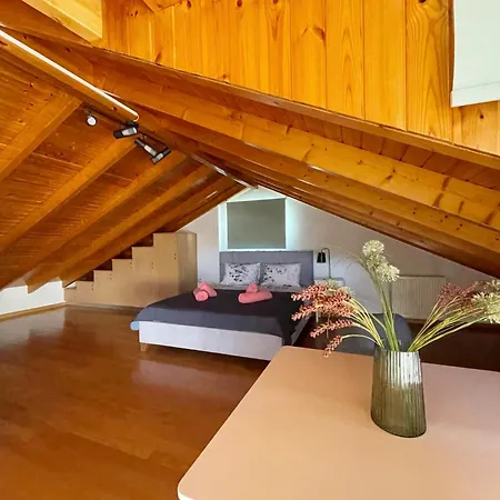 Panos Comfy Apartment *